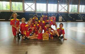 AL AUBIERE HANDBALL
👥​ U11 MIXTE - Principale
📅 07/06/2026
📍 Edith Tavert (63)