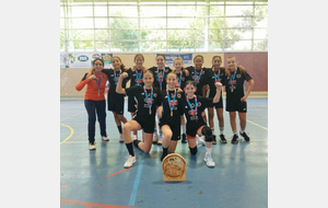 HANDBALL CLUB COURNON D AUVERGNE 
👥​ U13F - Principale
📅 13/06/2026
📍 Emile Pladner (63)