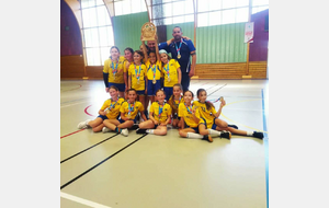 US ISSOIRE HANDBALL
👥​ U11F - Principale
📅 14/06/2026
📍 Gymnase de St-Genès-Champanelle (63)