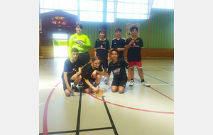 AL AUBIERE HANDBALL
👥​ U13M - Consolante
📅 14/06/2026
📍 Gymnase de St-Genès-Champanelle (63)
