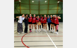 HANDBALL CLUB COURNON D'AUVERGNE
LIVRADOIS FOREZ HANDBALL CLUB 
CLUB HANDBALL PONT DU CHÂTEAU LEMPDES 
👥​ U18F - Principale
📅 14/06/2026
📍 Gymnase de St-Genès-Champanelle (63)